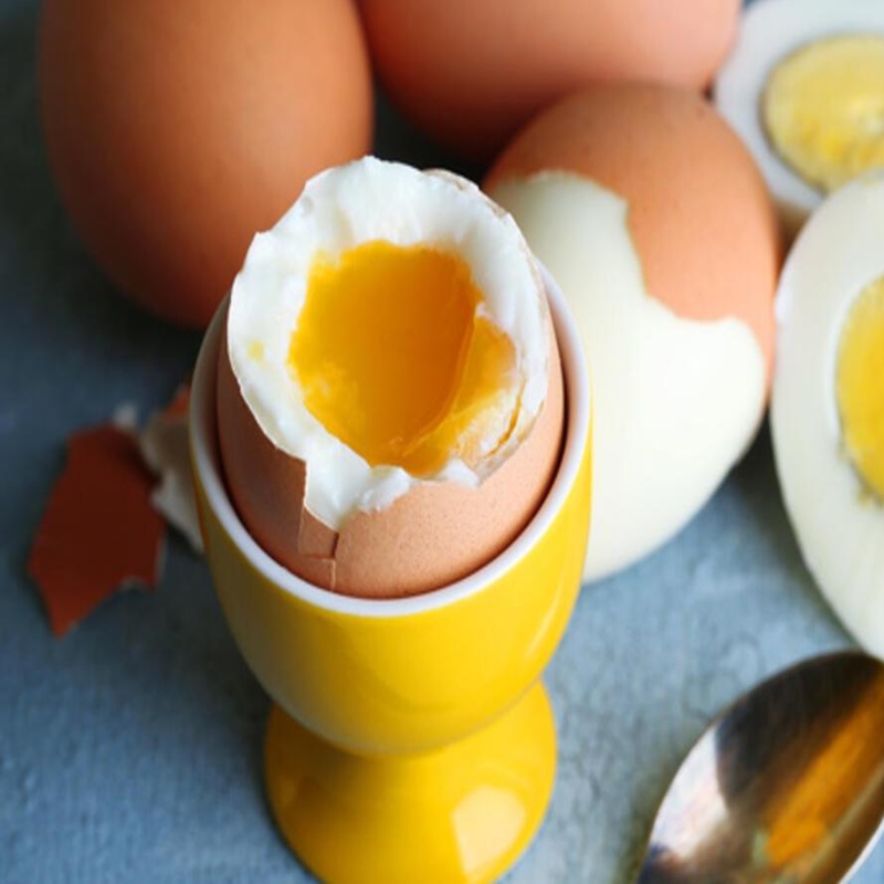 YUMURTA ÇEŞİTLERİ